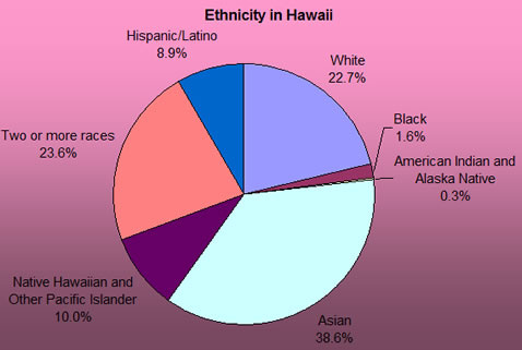 hawaii population ethnicity state hawaiian america culture african percent live americans county melting actually pot states united part social weebly